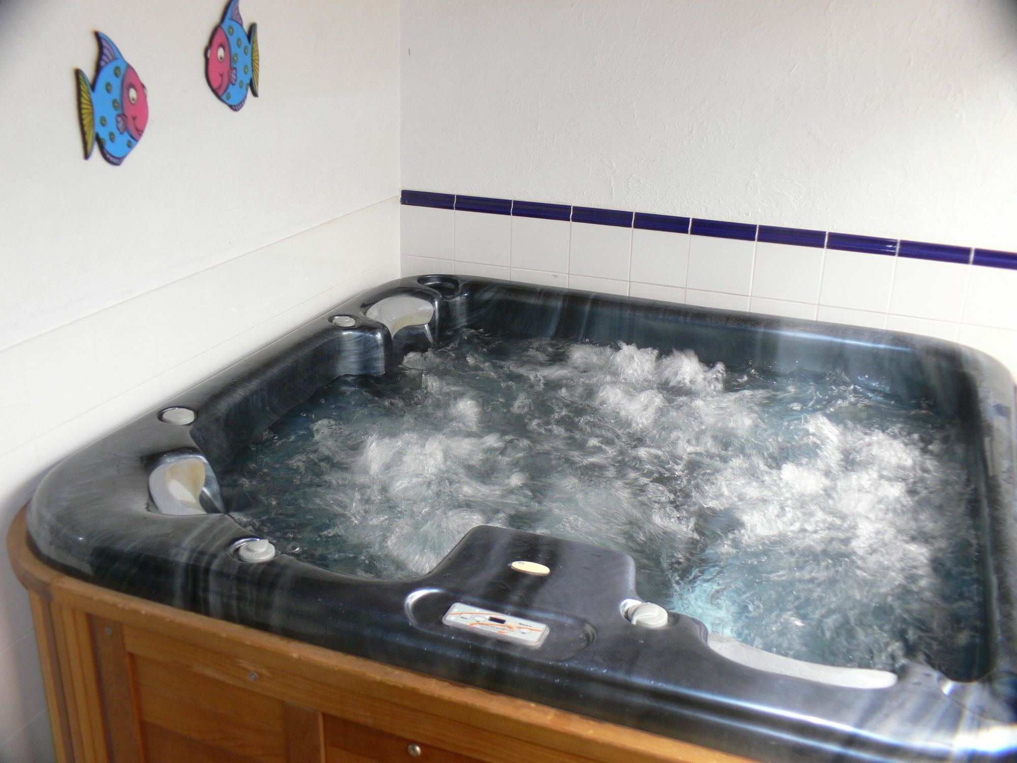 Swiss Chalet Lodge Motel Paihia Dış mekan fotoğraf
