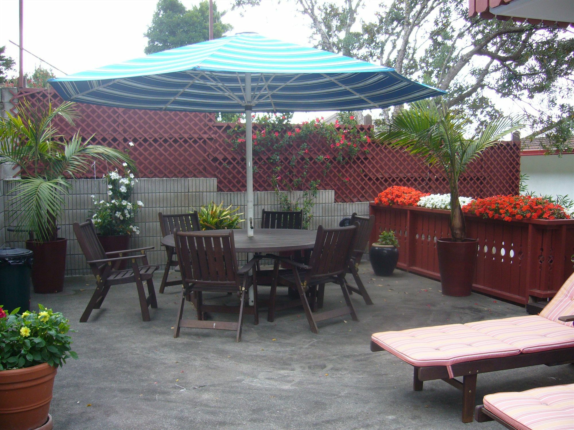 Swiss Chalet Lodge Motel Paihia Dış mekan fotoğraf