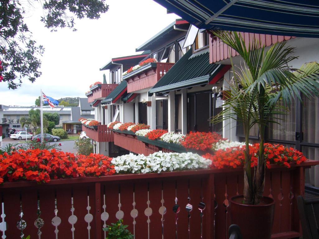 Swiss Chalet Lodge Motel Paihia Oda fotoğraf